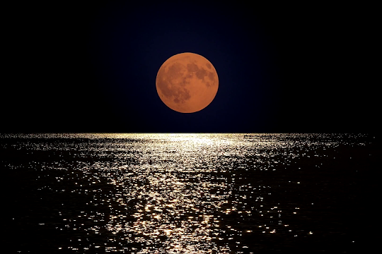 Gece turu